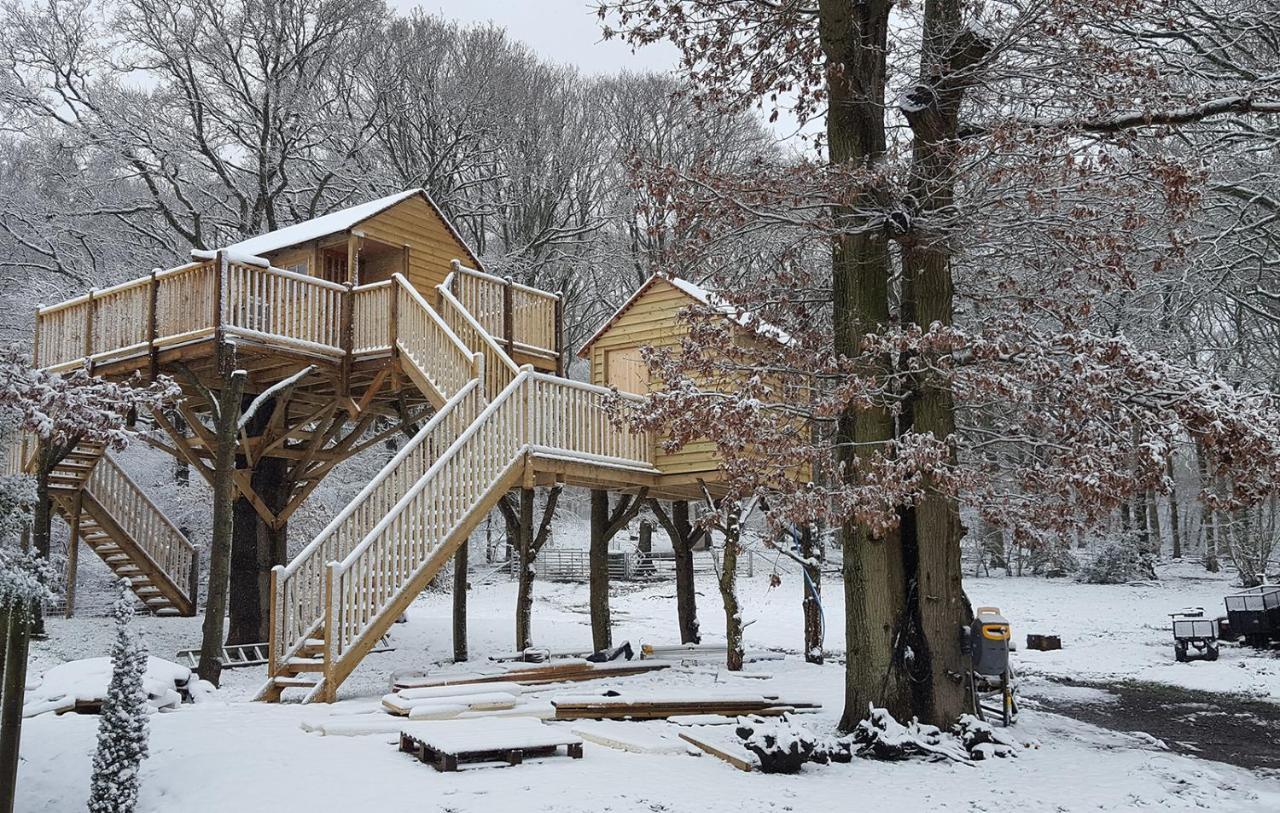 Oakside Tree Tops Canterbury Zewnętrze zdjęcie